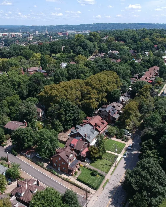 Barrio residencial de casas con jardín entre árboles, visto desde arriba